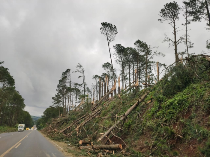 Tornados atingem Santa Catarina durante duas semanas de tempestades severas