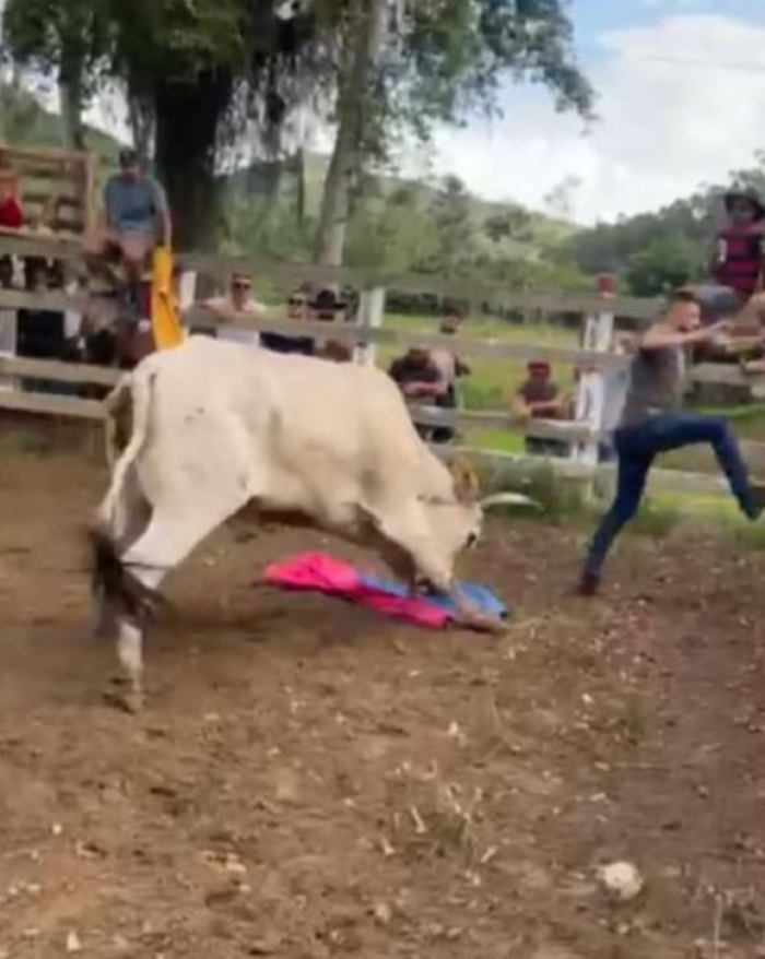 Polícia Civil indicia 40 homens por maus-tratos a animais em casos de Farra do Boi em Governador Celso Ramos