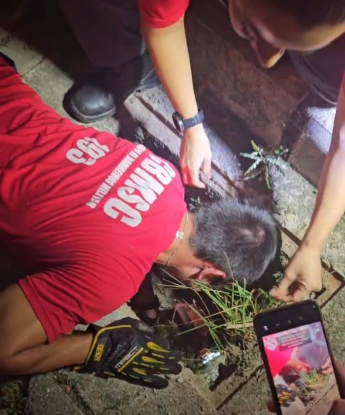 Ação rápida salva cães confinados em tubulação no bairro Guarda do Cubatão