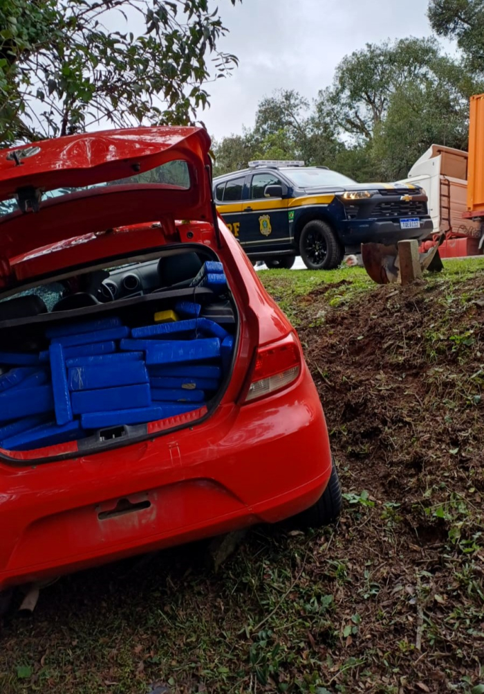 Motorista foge de fiscalização e bate contra árvore com quase 200 quilos de maconha no Planalto Norte