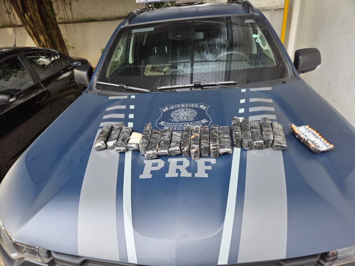 PRF apreende 350 ampolas de remédios para emagrecimento escondidas em fundo falso na BR-470