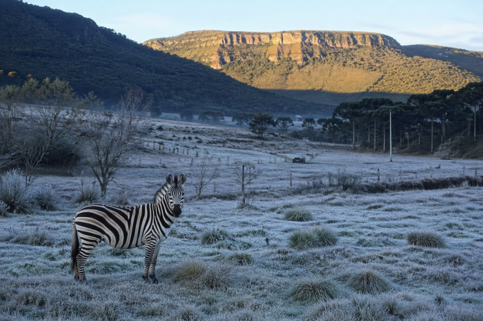 Feriado começa com frio e temperaturas negativas na Serra de Santa Catarina