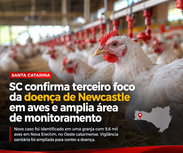 SC confirma terceiro foco da doença de Newcastle em aves e amplia área de monitoramento